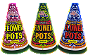 Flowers Pots