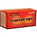 Flower Pots (10PK)